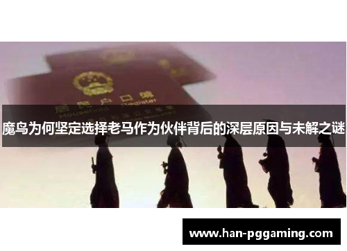 魔鸟为何坚定选择老马作为伙伴背后的深层原因与未解之谜