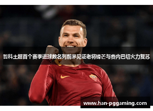 哲科土超首个赛季进球数名列前茅见证老将锋芒与费内巴切火力复苏