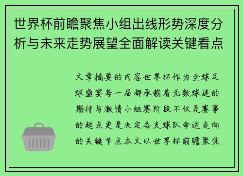 世界杯前瞻聚焦小组出线形势深度分析与未来走势展望全面解读关键看点